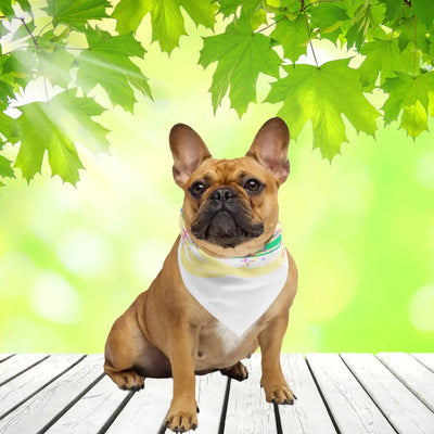 Allover-Bandana Frenchie Attentive & Balanced